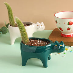 Cartoon Cat Flowerpot Succulent Planter with Drainage Ceramic Plant Flower Pot Garden Cactus Plants Potted Vase Home Decoration