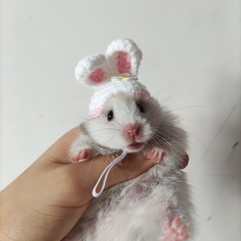 Hand-woven Hamster Hat Honey Glider Chipmunk Guinea Pig Chinchilla Small Animals Hat Hamster Accessories Cute Small Pet Hat