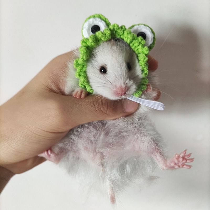 Hand-woven Hamster Hat Honey Glider Chipmunk Guinea Pig Chinchilla Small Animals Hat Hamster Accessories Cute Small Pet Hat