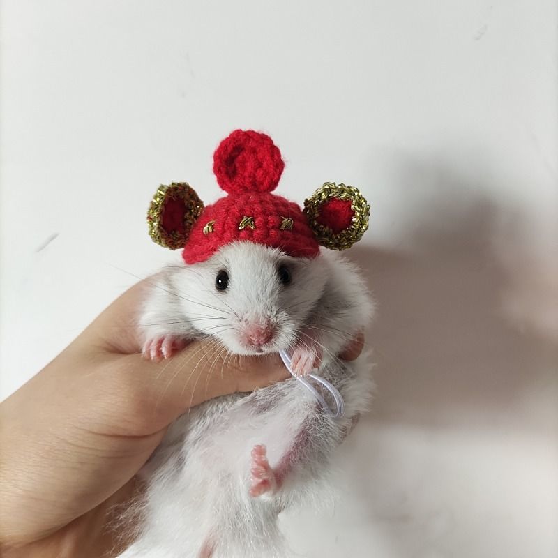 Hand-woven Hamster Hat Honey Glider Chipmunk Guinea Pig Chinchilla Small Animals Hat Hamster Accessories Cute Small Pet Hat