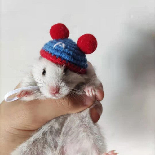 Hand-woven Hamster Hat Honey Glider Chipmunk Guinea Pig Chinchilla Small Animals Hat Hamster Accessories Cute Small Pet Hat