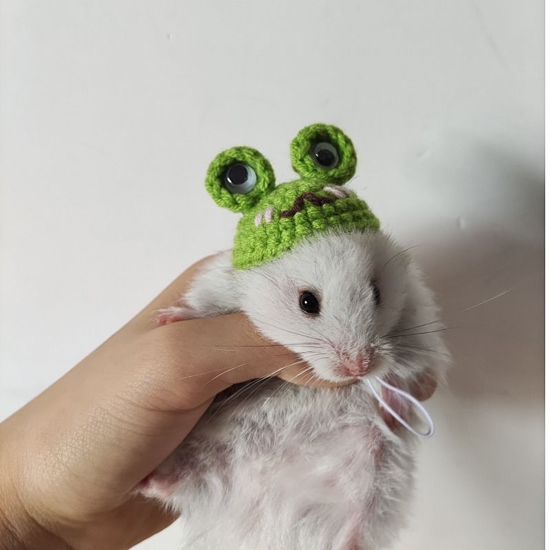 Hand-woven Hamster Hat Honey Glider Chipmunk Guinea Pig Chinchilla Small Animals Hat Hamster Accessories Cute Small Pet Hat