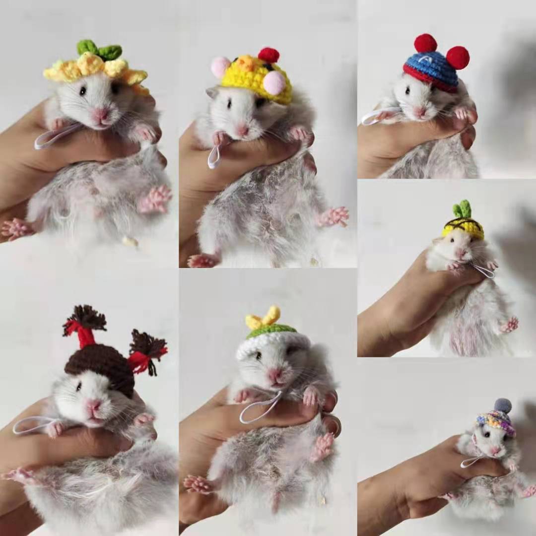 Hand-woven Hamster Hat Honey Glider Chipmunk Guinea Pig Chinchilla Small Animals Hat Hamster Accessories Cute Small Pet Hat