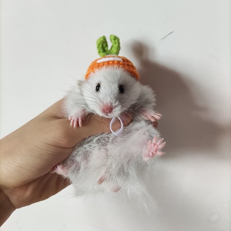 Hand-woven Hamster Hat Honey Glider Chipmunk Guinea Pig Chinchilla Small Animals Hat Hamster Accessories Cute Small Pet Hat