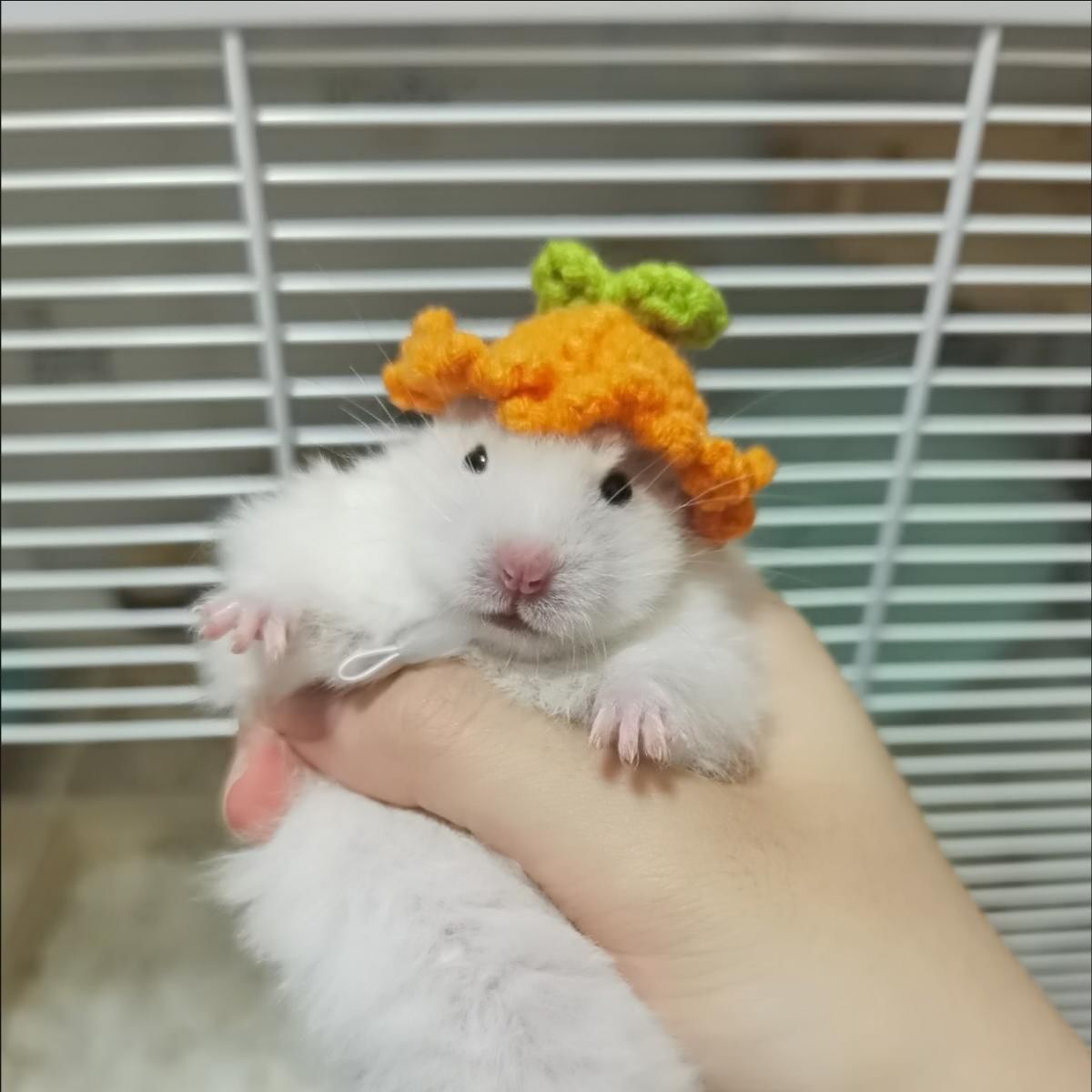 Hand-woven Hamster Hat Honey Glider Chipmunk Guinea Pig Chinchilla Small Animals Hat Hamster Accessories Cute Small Pet Hat